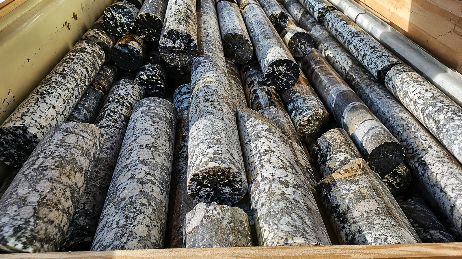 Drill core samples logged and boxed for geological interpretation